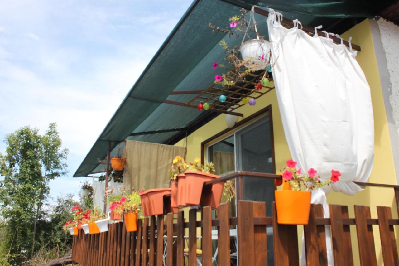 Daskalov Bungalows Chervena Lokva Exterior photo